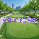 용인-포곡-포곡센터1호 | 포곡파크골프장 예약방법 사이트 전화번호 기상 코스 주차