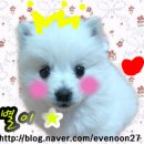 주앤동물병원 이미지