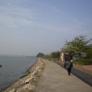 서천댁