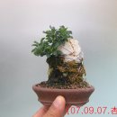 석부농장 이미지