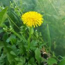 오창농장 이미지