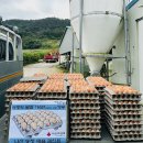 나산농장 이미지