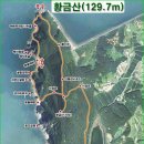 2013년 3월 17일(일) 정기산행 황금산 이미지