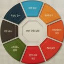 운동선수 유연성 향상 프로그램 (골반) 이미지