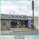 해찬 | 제주 금능해수욕장 현지인 단골 맛집 바다해찬 후기