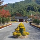 거창-거창-5 이미지