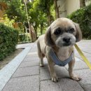 남현우동물병원 이미지