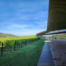 안티노리 이미지