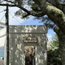 엠디에스 | 금악퐁낭국수 제주고기국수 맛집 한치튀김 맛집 내돈내산 후기 !!