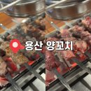 양다리꼬치넘버원 (NO.1) | [삼각지] 용산 삼각지에 숨은 맛집 등심왕꼬치 맛집&#34;용산양꼬치&#34; 후기