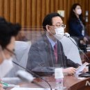 주호영 카카오 검색결과