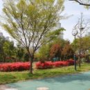 유안근린공원입구 네이버블로그