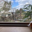 옥란1농장 이미지