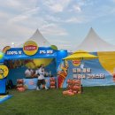 인천펜타포트 락 페스티벌 | 2025 인천 펜타포트 락페스티벌 후기, 오픈런줄 등 꿀팁 총정리