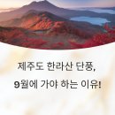 비고도랩스 | 제주도 한라산 단풍, 9월에 가야 하는 이유! 누구보다 먼저 만나는 가을 산행