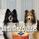 강아지 동결건조 사료 셰퍼드보이팜즈, 요미꼬미 먹방후기