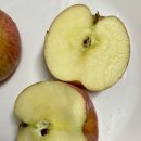 금덕농원 | 얼음골사과 꿀사과 건강간식 추천 후기