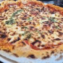 대성산채식당 | 장성 백양사 카페모짜 화덕피자 맛집 후기