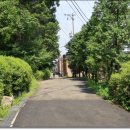 새솔학교 이미지