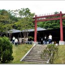 순천-81호 이미지