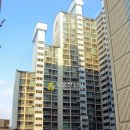 삼동로-1 Daum카페