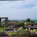 영희의 정원 이미지