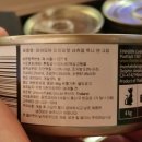 올캣코리아 이미지