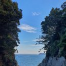 오동도 바람골 이미지