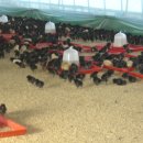 통일로726번길 이미지