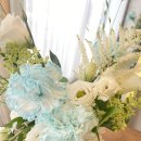 사파동335 이미지