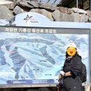 기룡산 등산로2 이미지