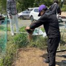 기린농장 이미지