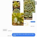 잔소리? 준비 시즌이 다가온다..... - 일소 피해, 약해??? - 이미지