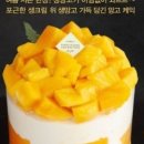 고고망고 이미지