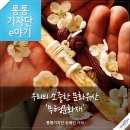 泉峰나전칠기전수관 | 우리의 소중한 문화유산 '무형문화재' - 통통기자단 송혜민 기자