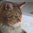 (주)나도주개 | [9월일기]강릉여행,캐리비안베이,물피도주,먹방 또 먹방