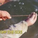 어부농장 이미지