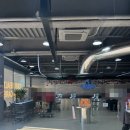 정동물약국 | 대구창고형약국 메가타운약국 방문후기 가격 위치