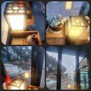 풍어횟집 | 설악 오션 투유 리조트 근처 송지호 해변 풍어횟집 현지인이 추천하는 회 먹방후기