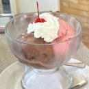 루안 | 보홀 비치 클럽 데이유즈 : 점심 포함 워크인 가격 수영장 두말루안 비치 아이랑 솔직 이용 후기