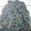 필제주 게스트하우스 이미지