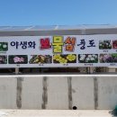 산바다야생화