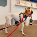 원러브동물의료센터 이미지