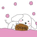 프리티풀 이미지