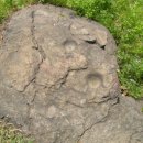 내곡동499 | 서울 자곡동 고인돌에서 대형 성혈발견