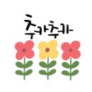 수피다꽃과식물