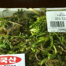 훌륭한아줌마
