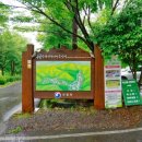 국립남해편백자연휴양림 이미지