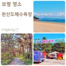 원산도 해수욕장 푸드존 | 충남 보령 원산도 가볼만한곳 원산도해수욕장 여름 풍경