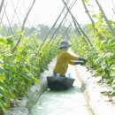 행정사사무소 비결 이미지